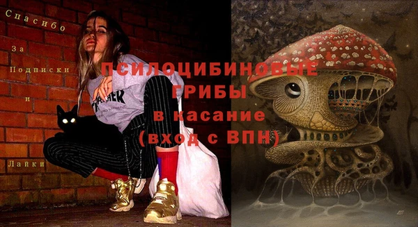 соль ск Волоколамск