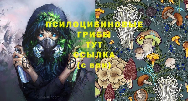 ешки Вяземский