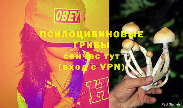 соль ск Волоколамск