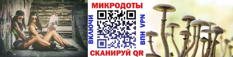 kraken как зайти Верхняя Пышма Псилоцибиновые грибы Psilocybine cubensis